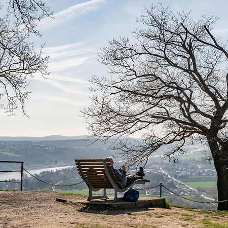 Studio-Loft Siebengebirge Westerwald Erpel ภายนอก รูปภาพ