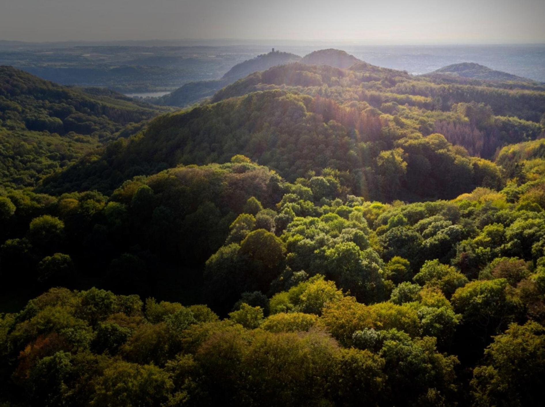 Studio-Loft Siebengebirge Westerwald Erpel ภายนอก รูปภาพ